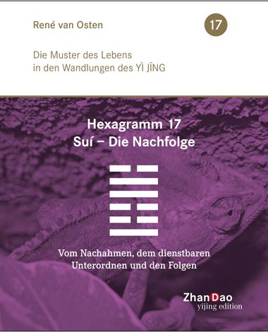 Buch Cover Yi Jing Hexagramm 17